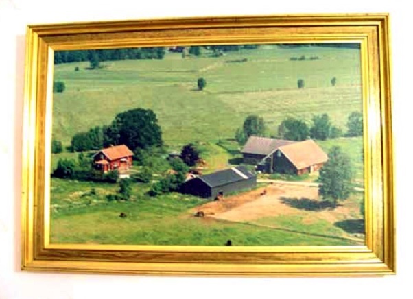View from the air, showing the central part of Baependi Stud